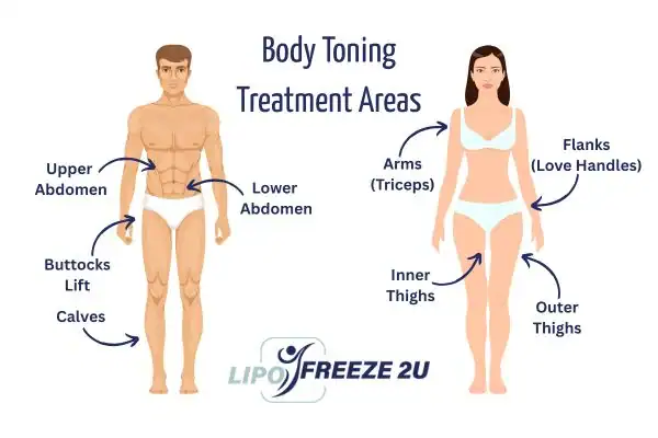 Graphic showing where you can have Body toning Treatment Hamilton on your body
